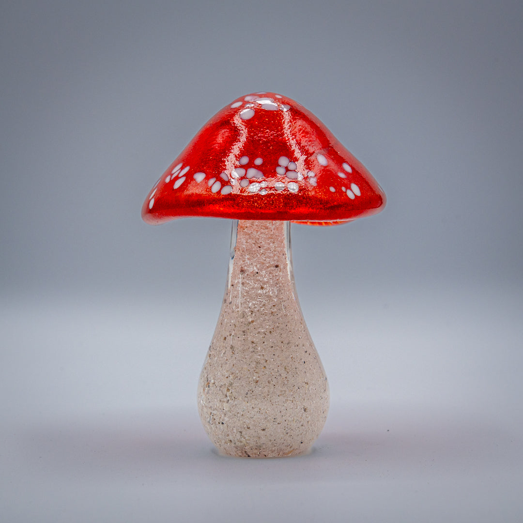 Ashes to glass Toadstool