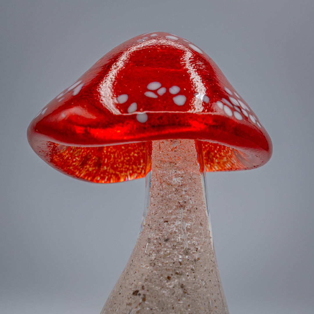 Ashes to glass Toadstool
