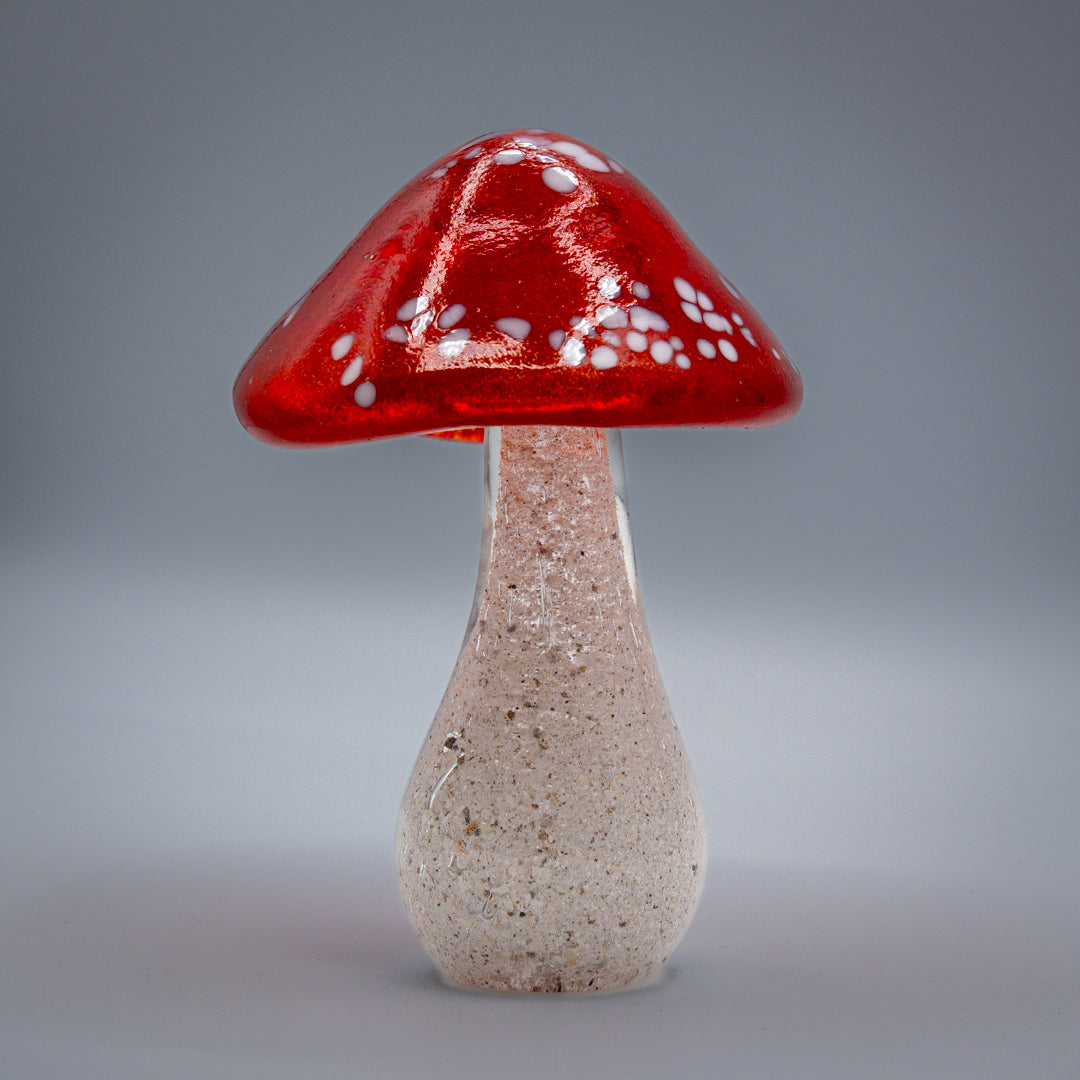 Ashes to glass Toadstool