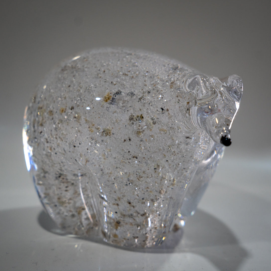 Ashes Polar Bear