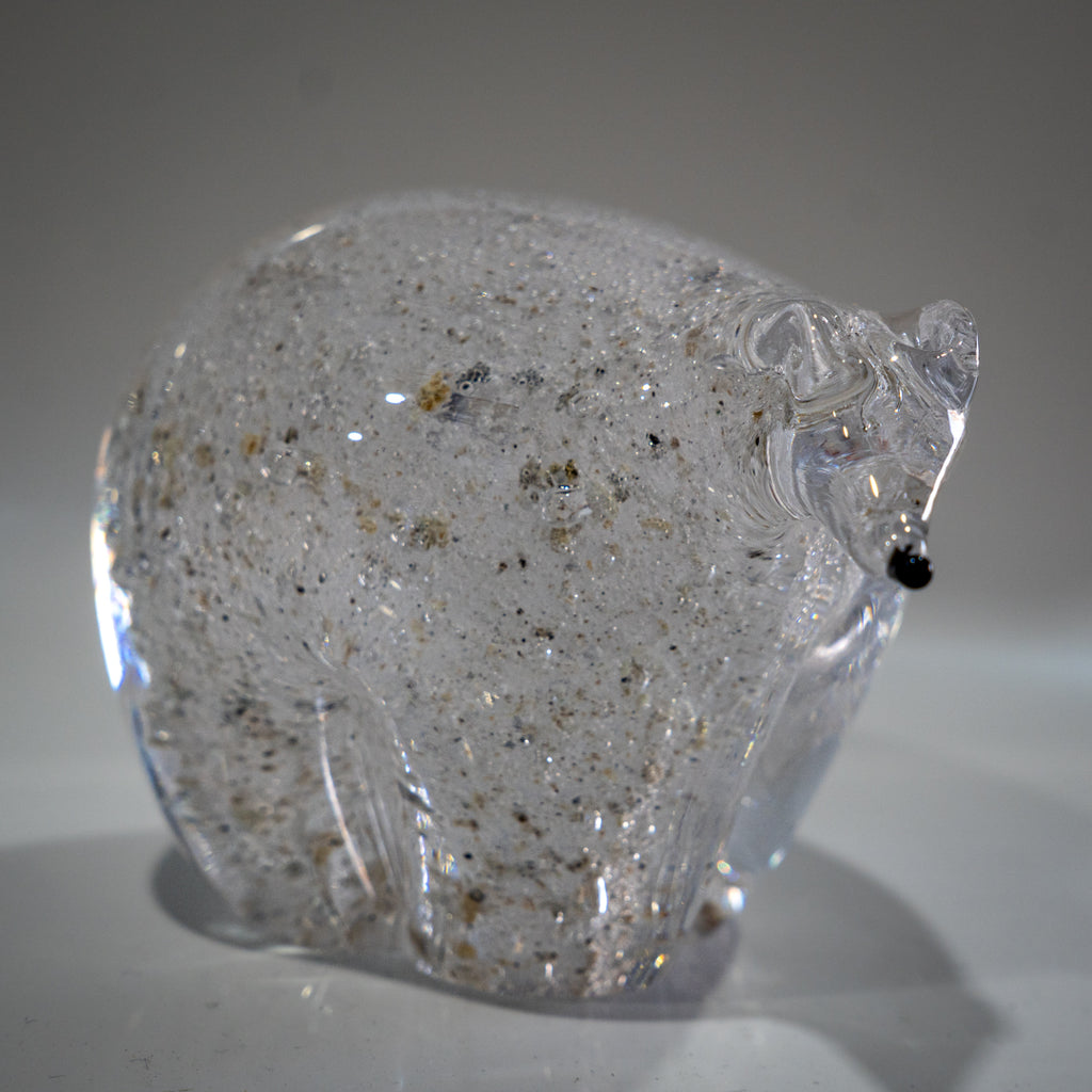 Ashes Polar Bear