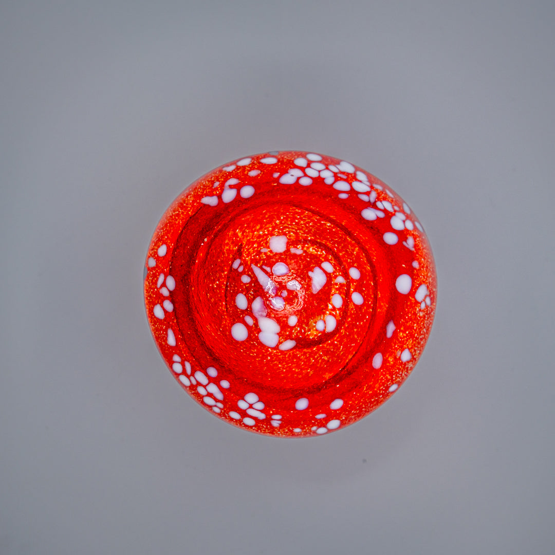 Ashes to glass Toadstool