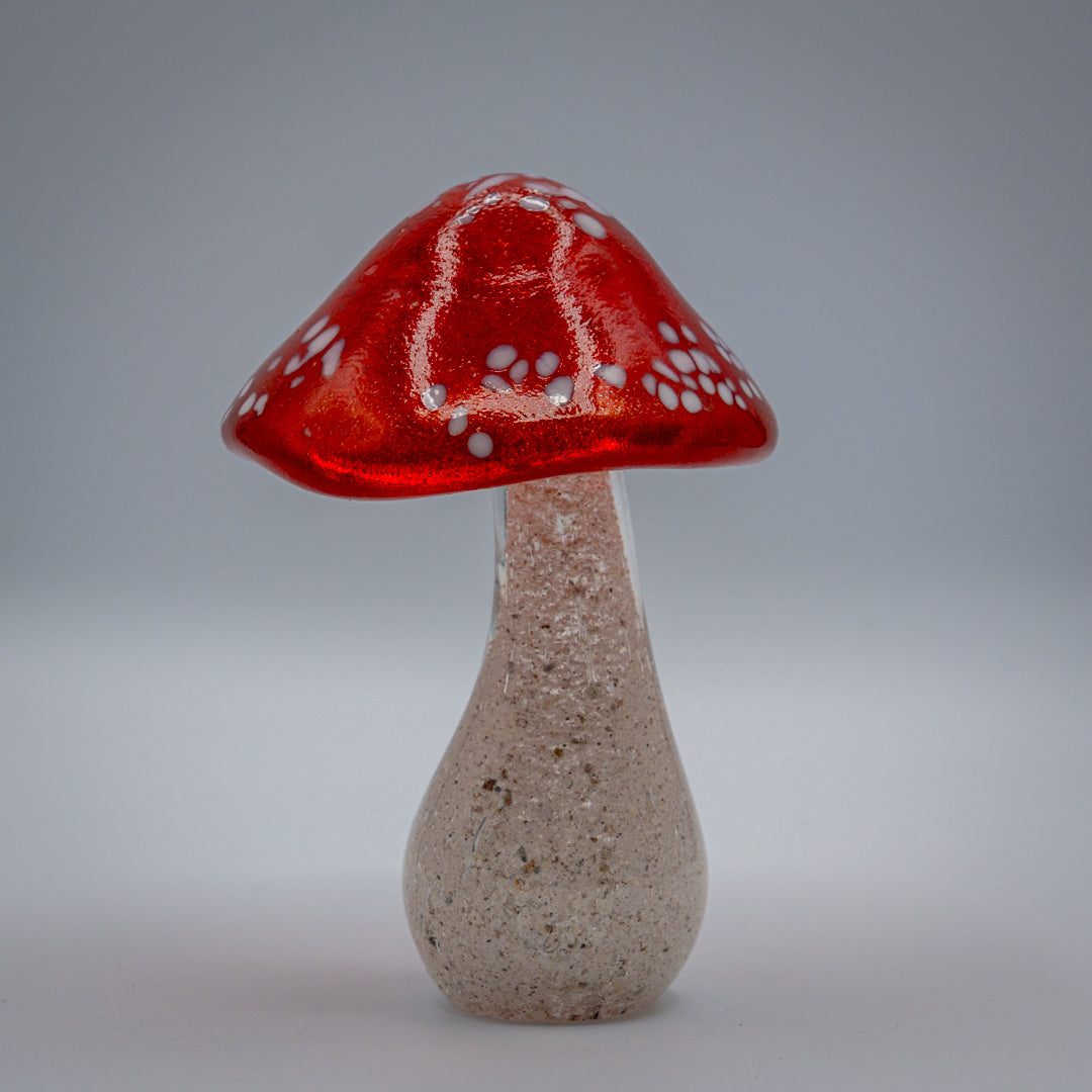Ashes to glass Toadstool