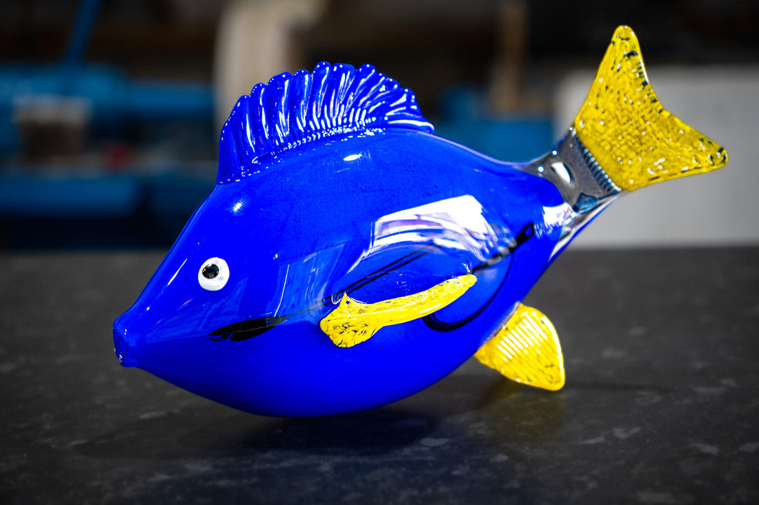 Dory Fish