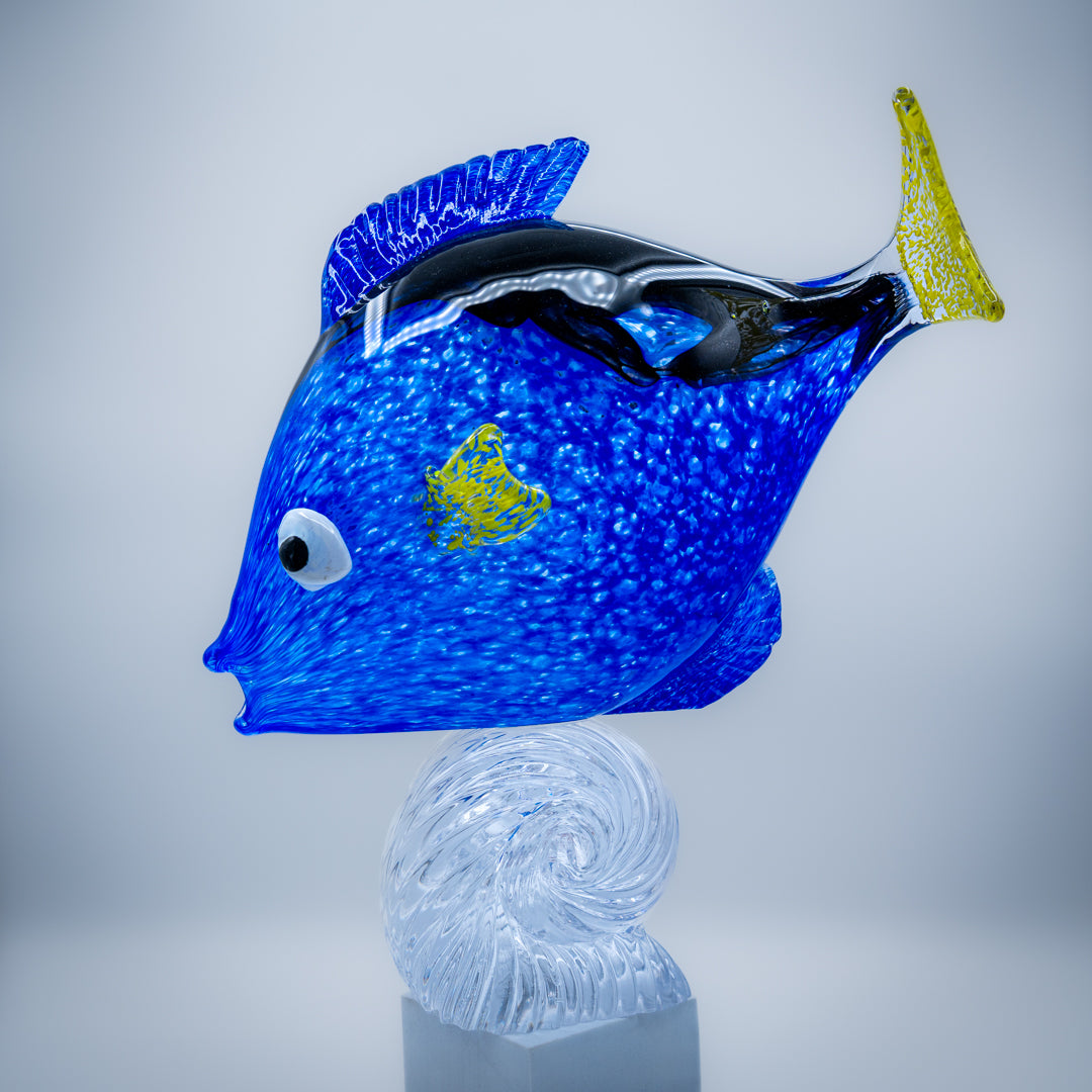 Regal Blue Tang Fish riding a wave