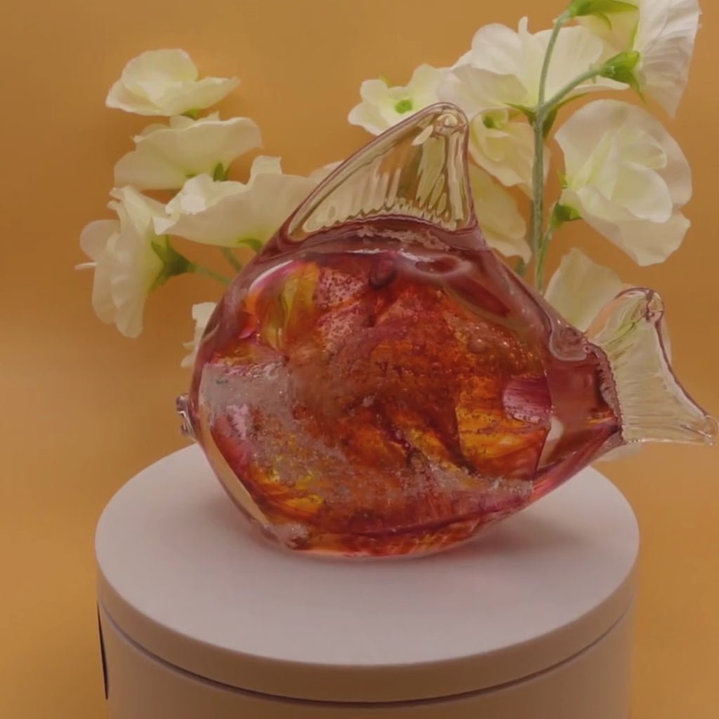 Ashes to glass fish